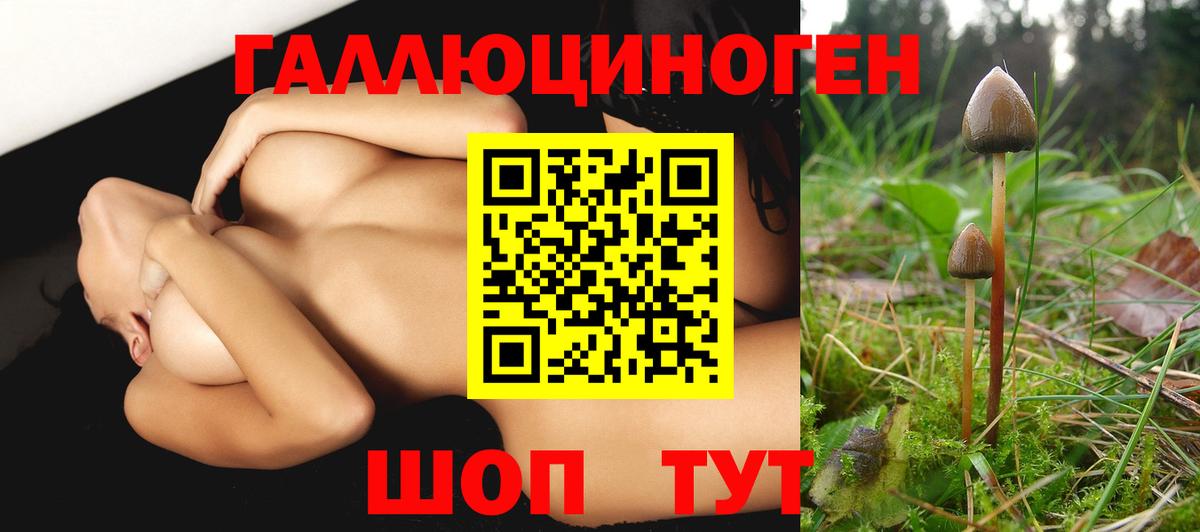 Галлюциногенные грибы GOLDEN TEACHER Пугачёв