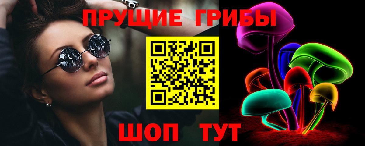 Псилоцибиновые грибы MAGIC MUSHROOMS  Галлюциногенные грибы прущие грибы  Вход с VPN  Пугачёв 